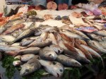 dorada-at-fish-market