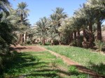 gardens-at-hammadis-house-in-zagora