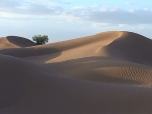 sahara-desert